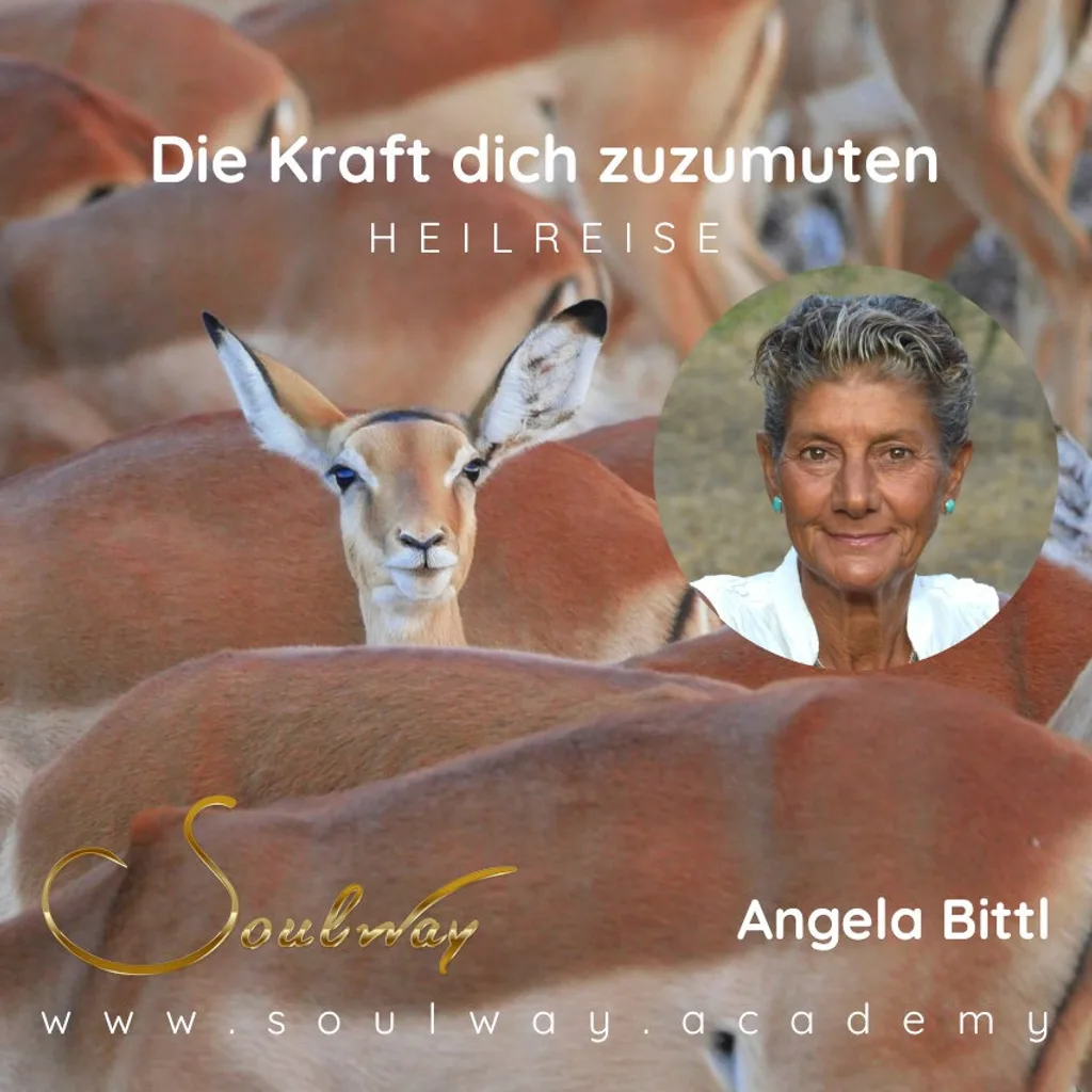 Die Kraft Dich zuzumuten